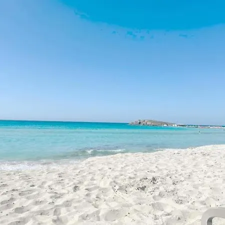 Freminore Eden * Ayia Napa
