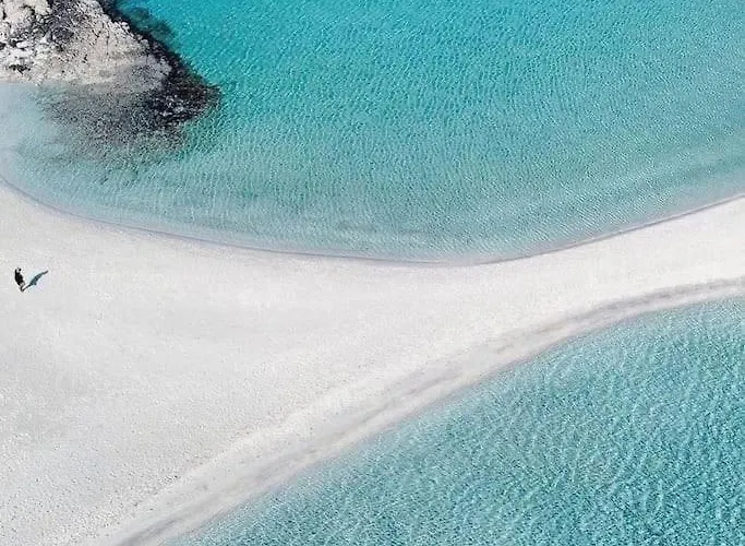 Freminore Eden Daire Aya Napa